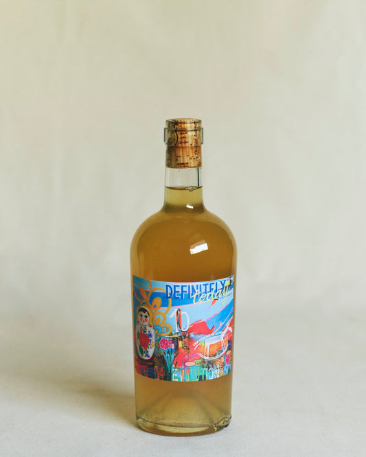 Weingut Haider – Definitely Today 2022