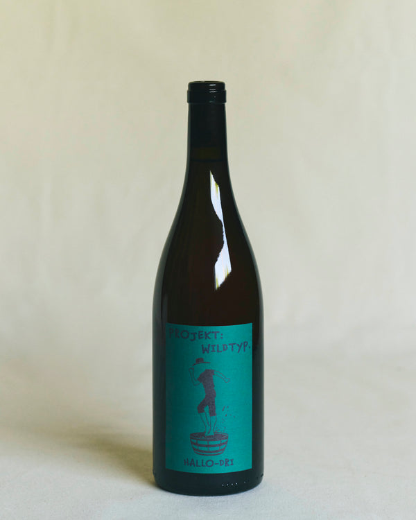 Projekt Wildtyp – Hallo-Dri 2022